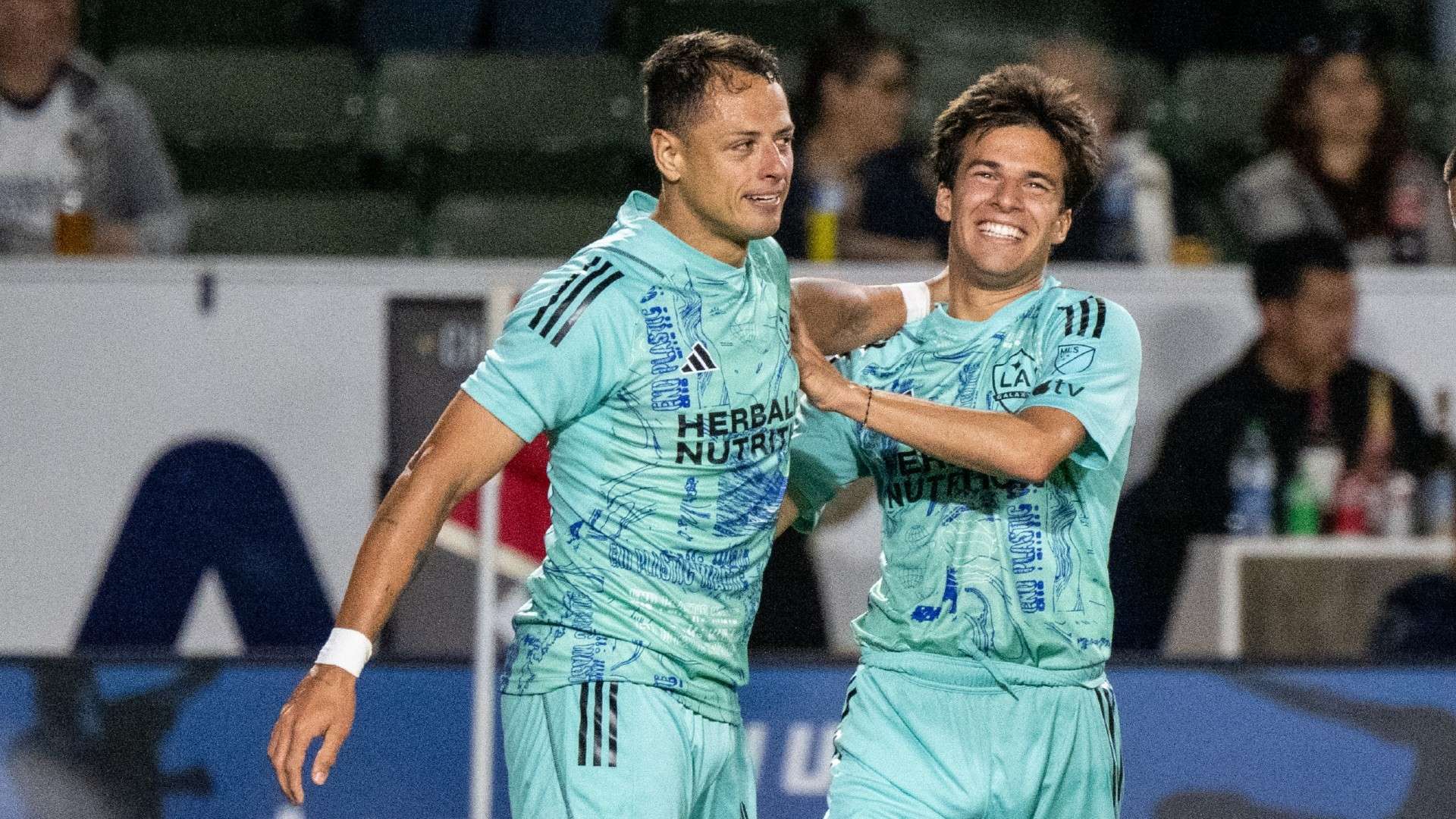 自身发展情 自身发展情