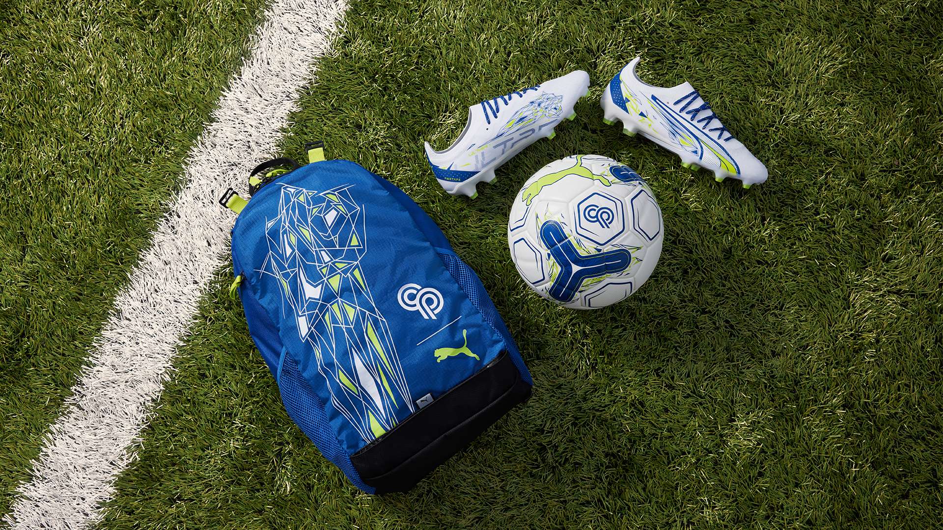 总经理及其 总经理及其