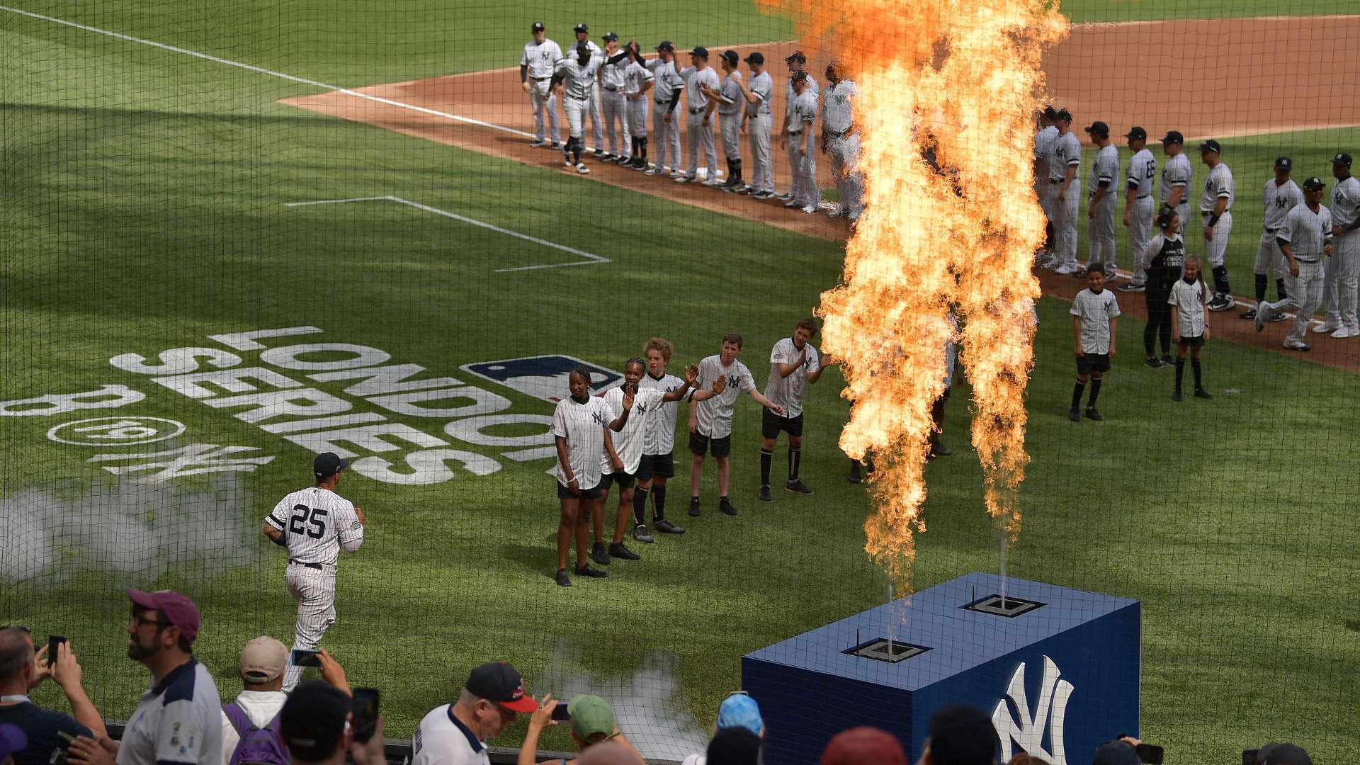 具观赏性与 具观赏性与